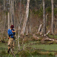 Field Shot 1